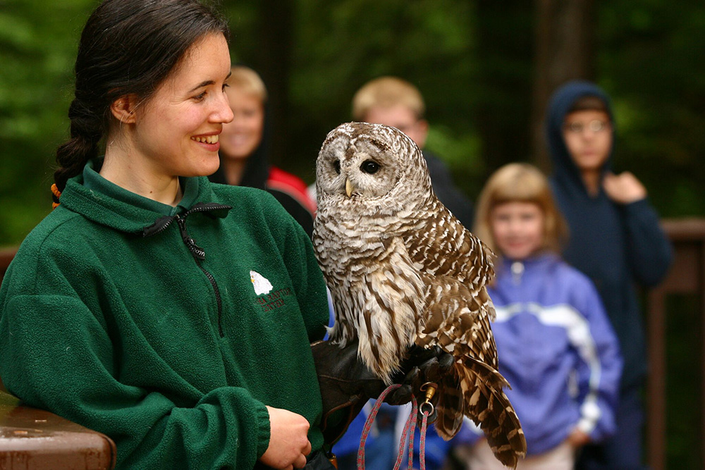 Alaska Raptor Center