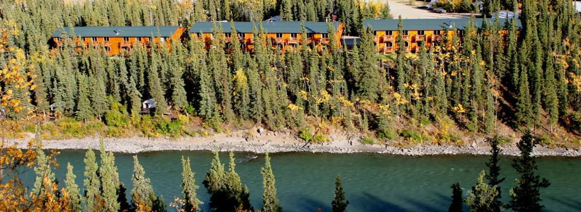 Denali Grizzly Bear Resort