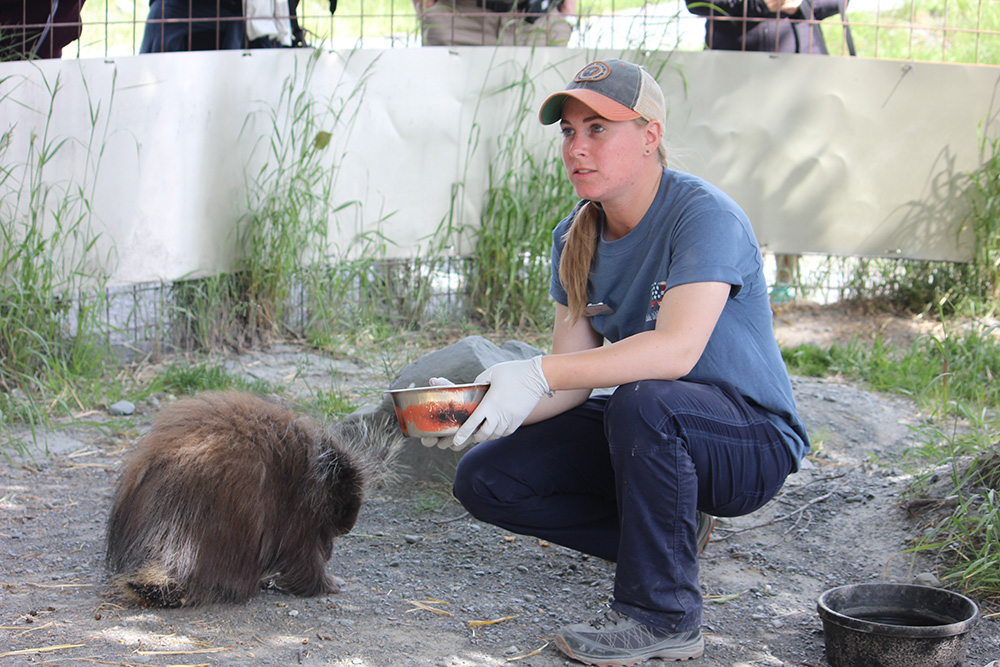 Alaska Wildlife Conservation Center